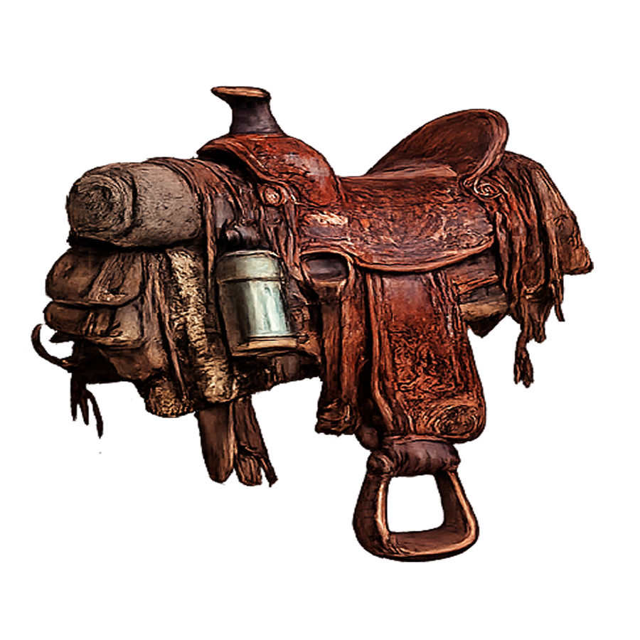 Separated Saddle, 1896 — PS-05